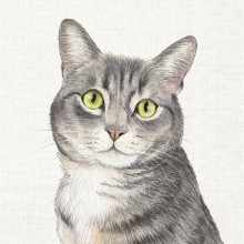 Салфетки 20бр Farm Cat екрю